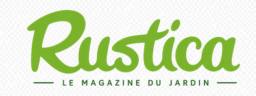 Logo média