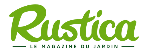 Logo média